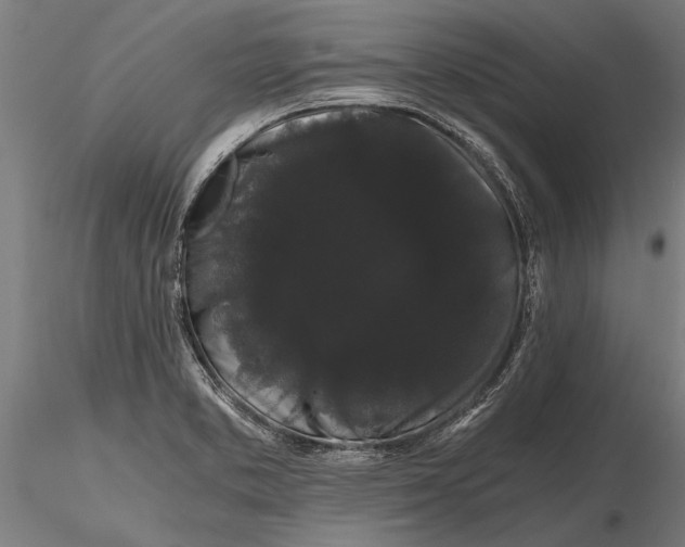 X0000116121373200912141035