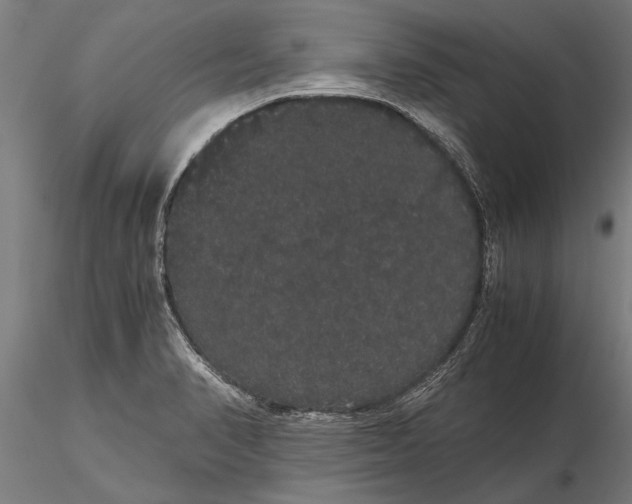 X0000116121374200912141035