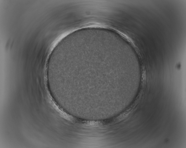 X0000116121375200912141035