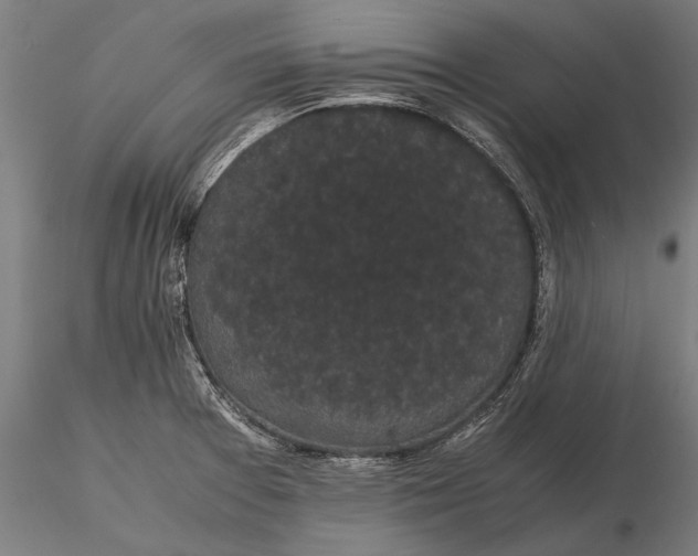 X0000116121377200912141035