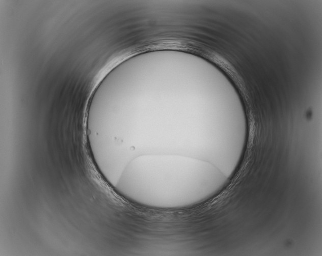 X0000116121378200912141035