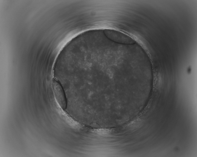 X0000116121380200912141035