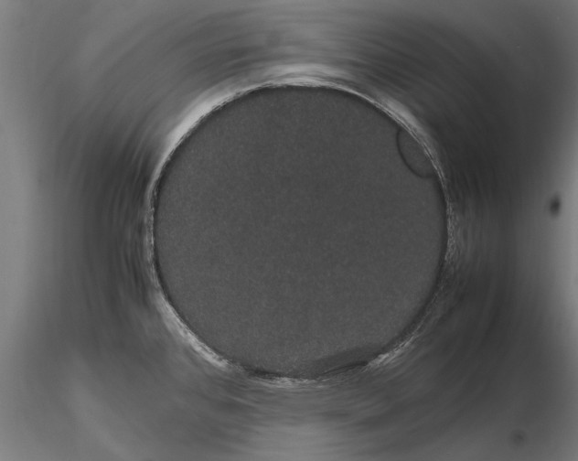 X0000116121384200912141034