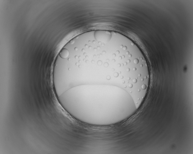 X0000116121386200912141034