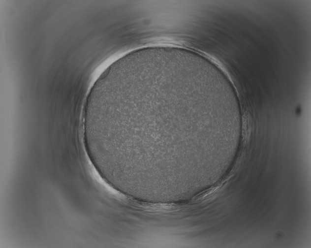 X0000116121387200912141034