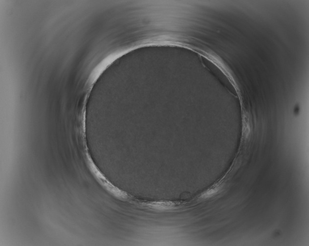 X0000116121388200912141034