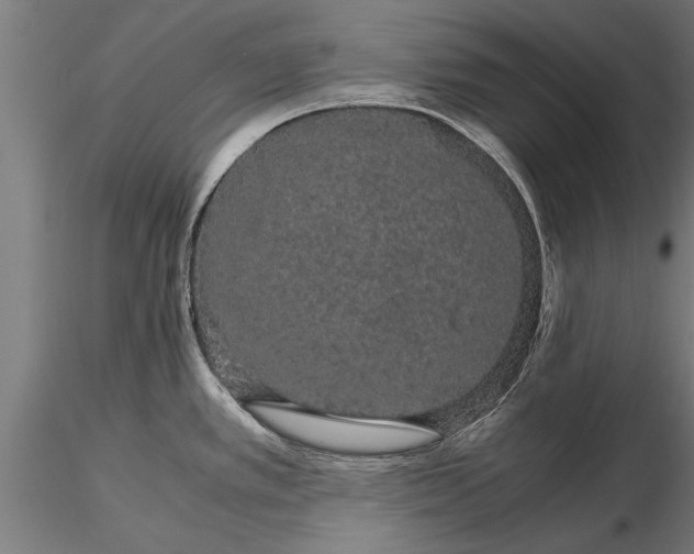 X0000116121389200912141034