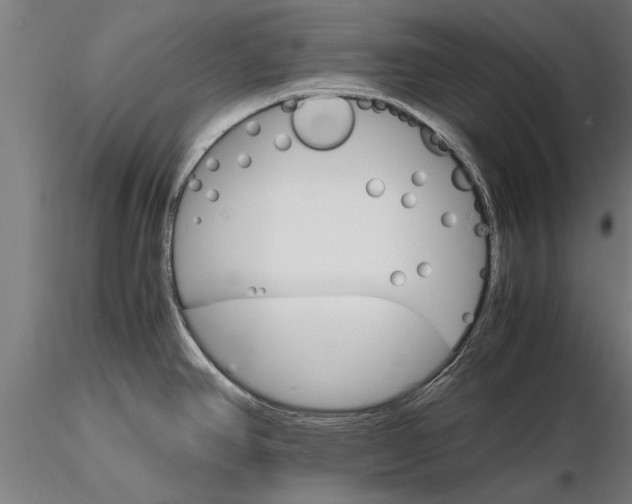 X0000116121390200912141034