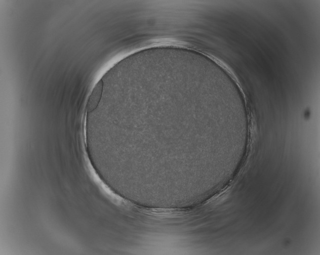 X0000116121391200912141034