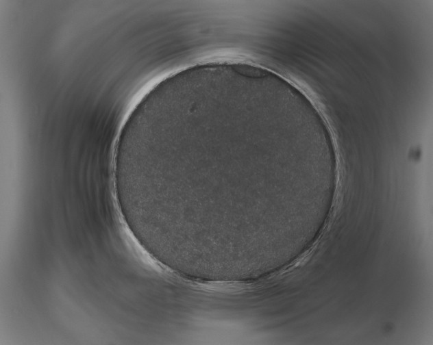 X0000116121392200912141034