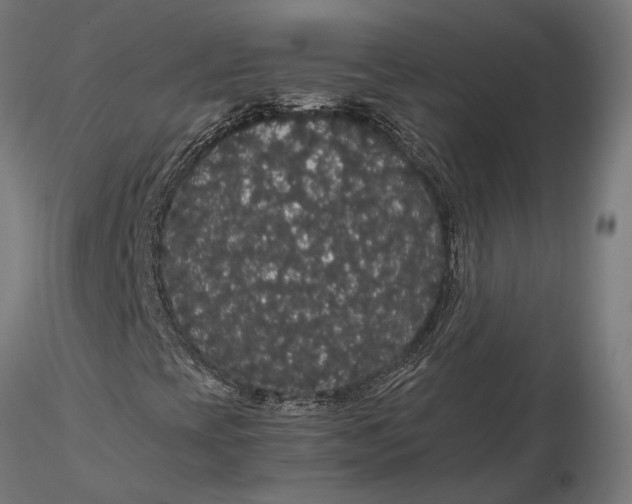 X0000116121393200912141034