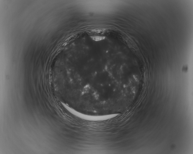 X0000116121394200912141034