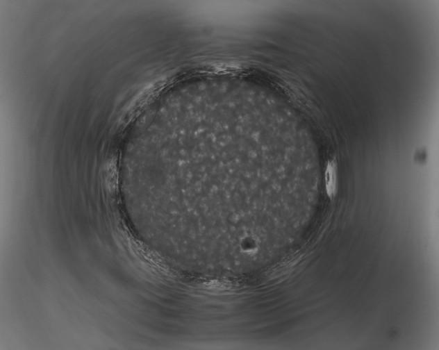 X0000116121395200912141034