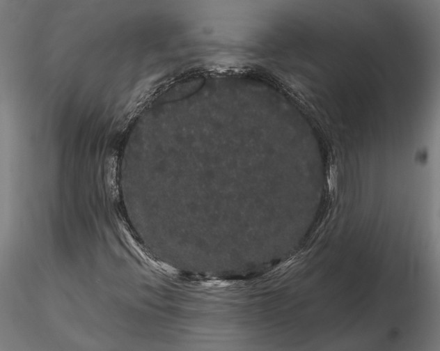 X0000116121396200912141034