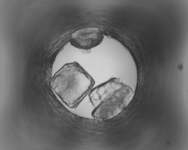 X0000116121397200912141034