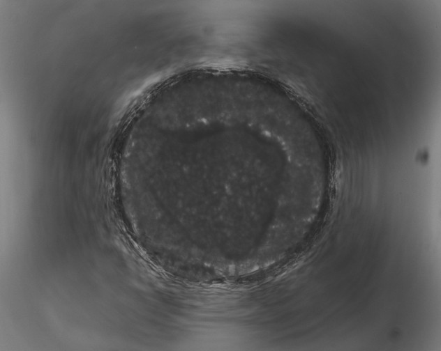 X0000116121398200912141034