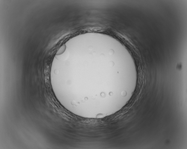 X0000116121399200912141034