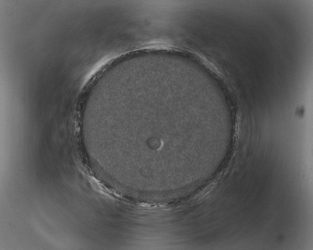 X0000116121400200912141034