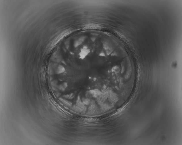 X0000116121401200912141034