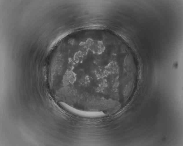 X0000116121402200912141034