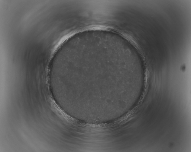 X0000116121404200912141034