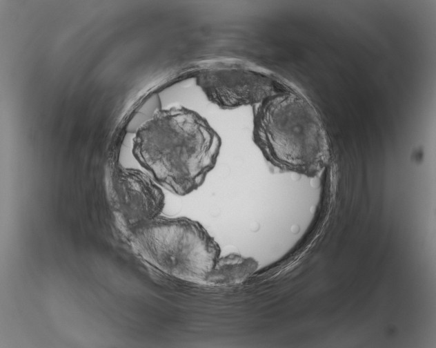 X0000116121405200912141034