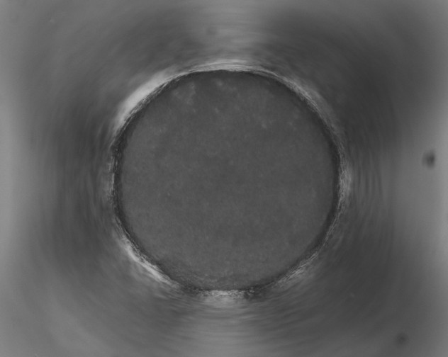 X0000116121406200912141034