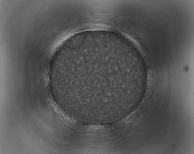 X0000116121407200912141034