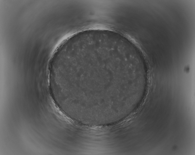 X0000116121408200912141034