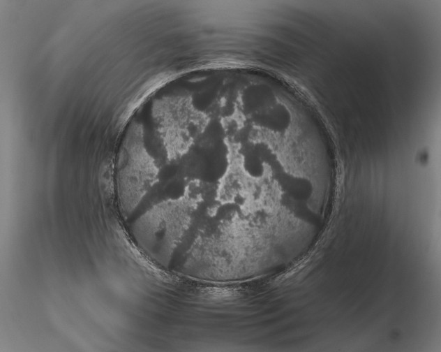 X0000116121409200912141034