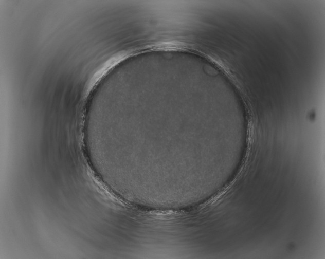 X0000116121410200912141034