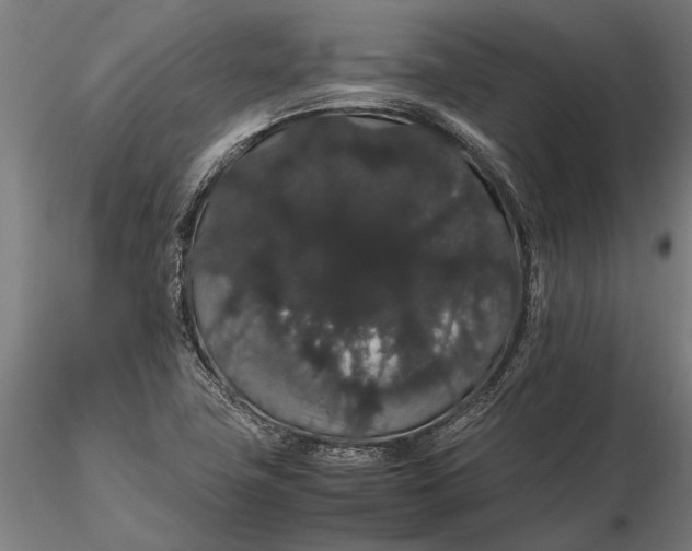 X0000116121411200912141034