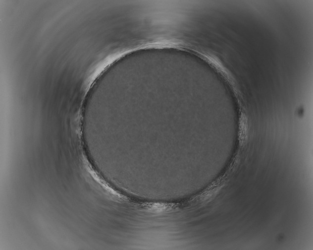 X0000116121412200912141034