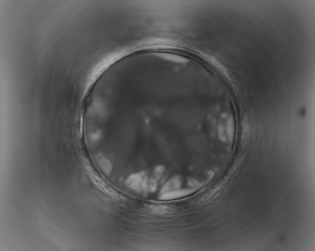 X0000116121413200912141034