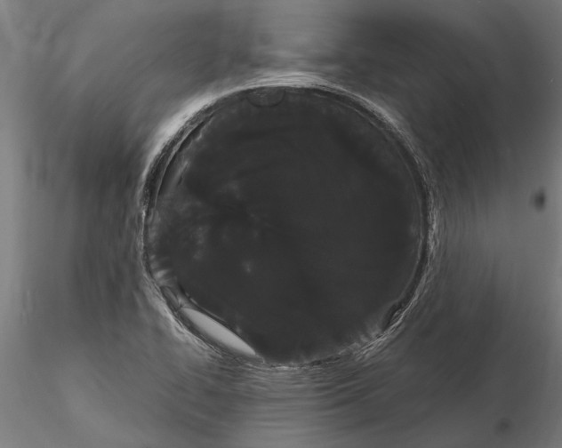 X0000116121414200912141034