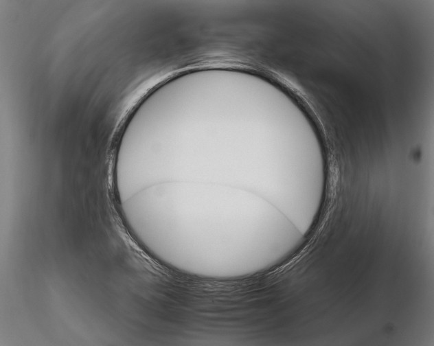 X0000116121415200912141034