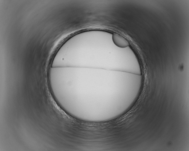 X0000116121416200912141034