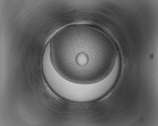 X0000116121417200912141034