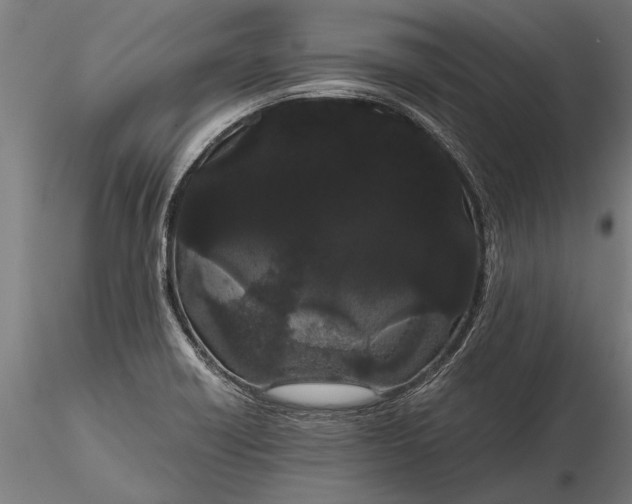 X0000116121418200912141034