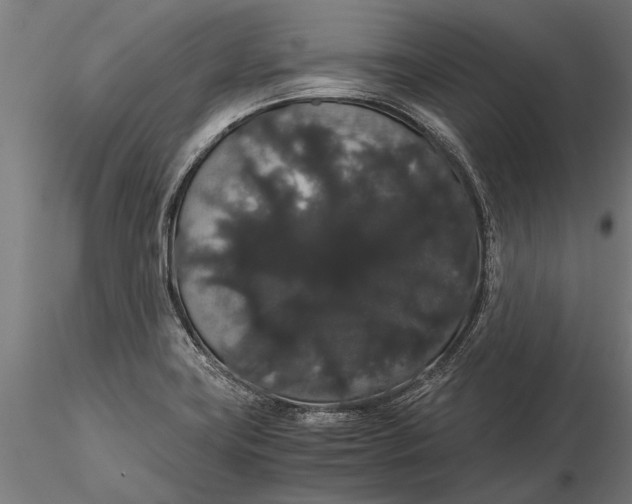 X0000116121419200912141034