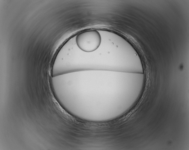 X0000116121420200912141034