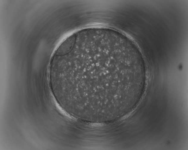 X0000116121421200912141034