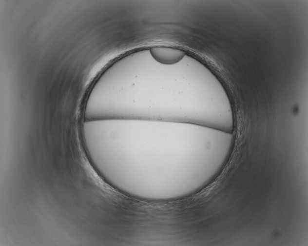 X0000116121422200912141034