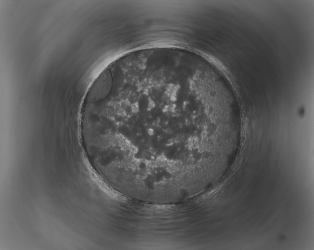 X0000116121423200912141034