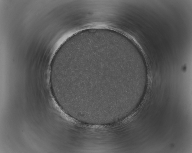 X0000116121424200912141034