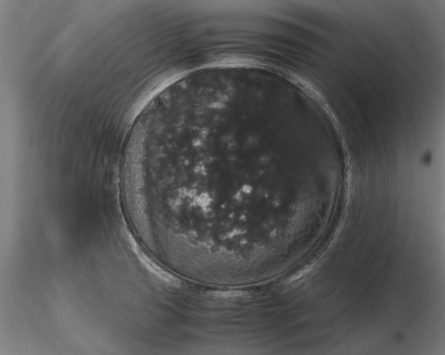 X0000116121425200912141034