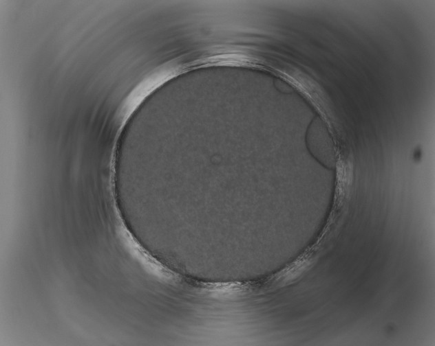 X0000116121426200912141034