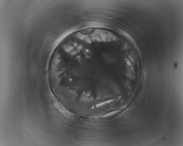 X0000116121427200912141034