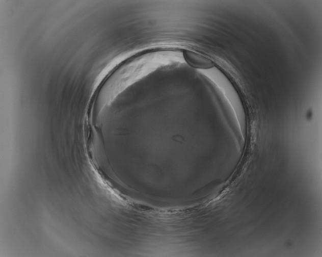 X0000116121428200912141034