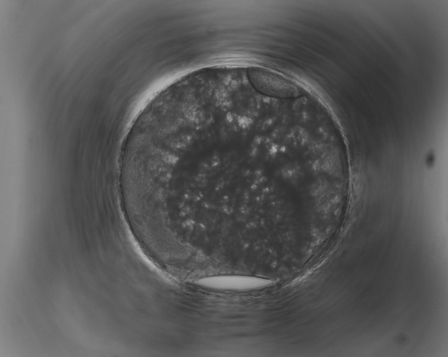 X0000116121429200912141034